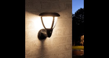 Solar wandlamp buiten 'Daisy' - Met bewegingssensor - 95 lumen - Warm wit licht (2700K) - IP44 - Tuinverlichting op zonne-energie geschikt