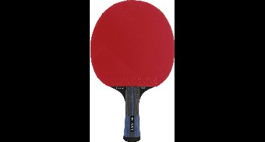 Dunlop - Tafeltennisbat -  DUNLOP EVOLUTION 2000