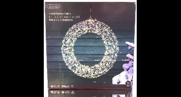 Lumineo Micro LED-Lichtkrans Zilver Warmwit Outdoor L7-B28-H28 cm