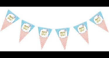 Vlaggenlijn “boy or girl / vlaggen lijn jongen meisje 10 vlaggetjes - babyshower - Gender Reveal
