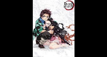 Poster Demon Slayer - Tanjiro & Nezuko Snow 38x52cm