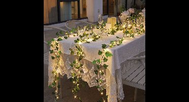 LED-decoratie - 20 LED's - 2 m - warm wit 1 Stuks [58934B]