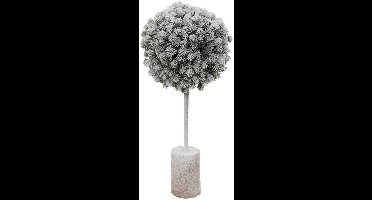 SNEEUW BUXUS H35