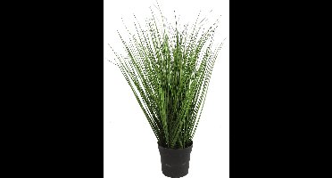 Non-branded Kunstplant Poaceae 50 Cm Polyresin Groen