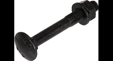 Blackline bevestigingsmaterialen - Slotbout met moer en sluitring – M5 t/m M8 (30–100 mm) - M8 x 90mm / 25