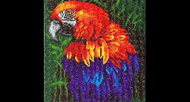 Craft Buddy Crystal Art Papegaai 30x30 cm