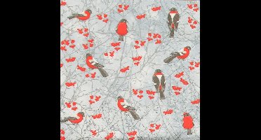 Lunch servetten Winter Birds - PAW Decor - 33x33 cm
