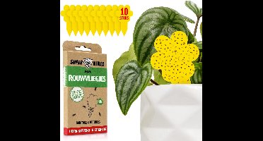 Rouwvliegjes Plakstrips - 10 Stuks - Gele Plakstrips voor Rouwvliegjes en Fruitvliegjes Bestrijden - Ecologische Insectenval - Tot 3 Maanden Effectief