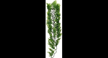 ZooMed - naturalistic flora - malasian fern  - medium - terrariumplant