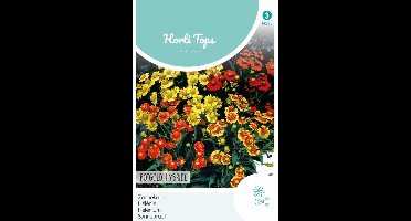 Zonnekruid Rotgold Hybr. (Helenium autumnale)