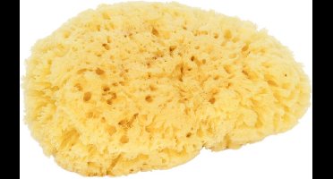 D&L Natuurspons Gebleekt - XL
