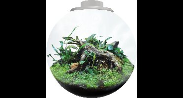 BIOART Bowl 225 Wit 5,1L met dimbare LED 225x220mm
