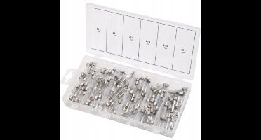 KS Tools 970.0270 970.0270 Buiszekering assortiment 5 A, 10 A, 15 A, 20 A, 25 A, 30 A Traag -T- Inhoud 120 onderdelen