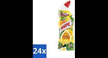 24 x Harpic - Toiletreiniger - Gel - Exotisch Fruit Parfum - 750 ml - Toilet Schoonmaak - Wc Reiniger - Exotische Geur - Toiletgel - Langdurige Geur