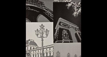 Dutch Wallcoverings Parijs - Zwart/zilver