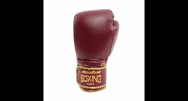 Bokshandschoenen Montana X-Fight