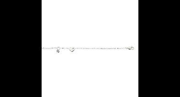 Silver Lining 104.9970.19 armband zilver zilverkleurig 19cm