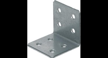 Versterkingshoek 40X2.0   40X 40