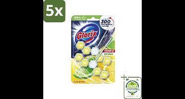 5 x Glorix - Power 5 - Toiletblok - Citrus - Langdurige Frisheid - 2 Blokken - Grootverpakking - Toilet Schoonmaak - Toiletblok - Toilet Reiniging - Citrusgeur - Kalk Verwijderaar
