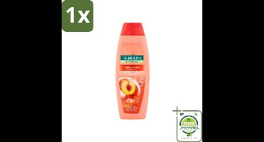 1 x Palmolive - Naturals - 2in1 Shampoo - Perzik - Hydra Balance - 350 ml - 2-in-1 Shampoo - Perzik Shampoo - Hydraterende Shampoo - Shampoo Voor Droog Haar - Shampoo Voor Dagelijks Gebruik