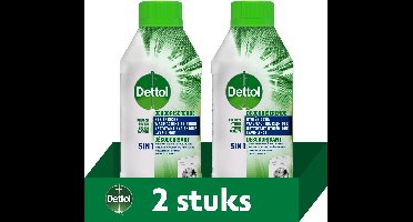 Dettol - Machinereiniger - Perfecte hygiëne - 2 x 250 ml