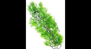 Zoomed Naturalistic Flora - Madagascar Bamboo - Large - terrariumplant