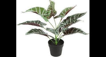 Kunstplant Alocasia groen 32cm