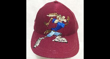 Looney Tunes Wile E. Coyote Skate Oldskool Cap - Pet