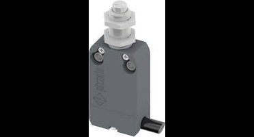 Pizzato Elettrica NF B110EB-DN2 NF B110EB-DN2 Eindschakelaar 250 V/AC 4 A Plunjer Moment IP67 1 stuk(s)
