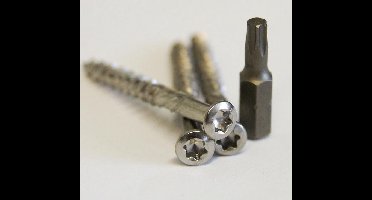 Meuwissen Agro Vlonderschroeven RVS 175 st. + 2 bitjes - Torx 4,5 x 40mm