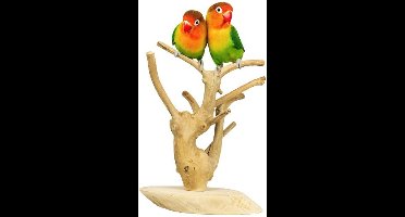 Back Zoo Nature Java Playstand Mini