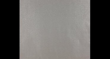 Dutch Wallcoverings Papierbehang - Uni - Zilver