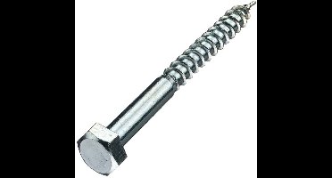 Hoenderdaal houtdraadbout gegalvaniseerd 7 x 50 mm din 571