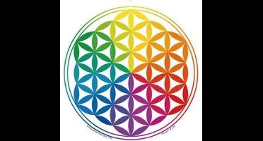 Raamsticker Bloem des Levens (Flower of Life)