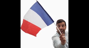 Franse Vlag met Mast (46 x 30 cm)