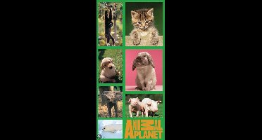 Animal Planet badlaken konijn-poes