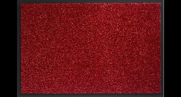 Deurmat schoonloopmat Twister 40 x 60 cm Rood