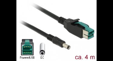 Delock PoweredUSB cable male 12 V > DC 5.5 x 2.1 mm male 4 m for POS printers and terminals
