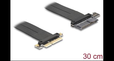 Delock Riser Card PCI Express 3.0 x4 male to U.2 SFF-8639 SSD slot with cable 30 cm