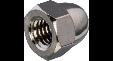 Hoenderdaal dopmoer m12  rvs A2 1587