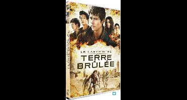 Le Labyrinthe : La Terre Brûlée