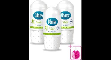 3 x Odorex - Deodorant Roller - Natuurlijk Fris - Fris & Natuurlijk - 50 ml - Bulkverpakking - Natuurlijke frisheid - Deodorant roll-on