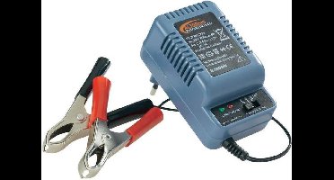 SYM Acculader SYM AL300 Pro 2V, 6V, 12V