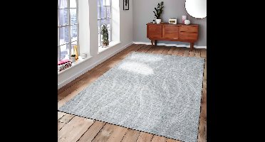 Vloerkleed Atmore Lichtgrijs 160x230cm - Giga Living