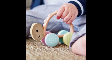Hape Turbo Schildpad