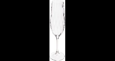 Secret de Gourmet Neva Champagneglazen - Set van 6 stuks - 26cl - Transparant