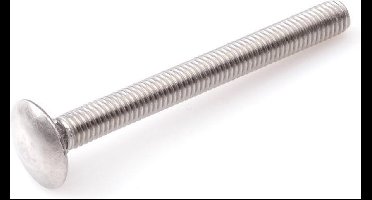 Slotbouten Rvs 6X 60 Zonder Moer Din 603 - 50 stuks