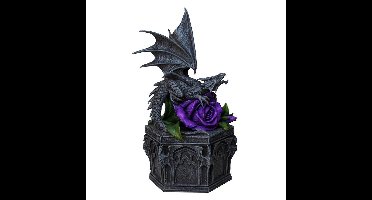 Nemesis Now Decoratieve opbergdoos Dragon Beauty Multicolours
