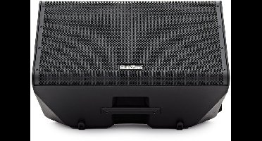 SubZero Praxis12 DSP Monitor voor Muzikanten