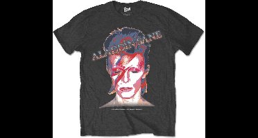 David Bowie - Aladdin Sane Heren T-shirt - M - Grijs
